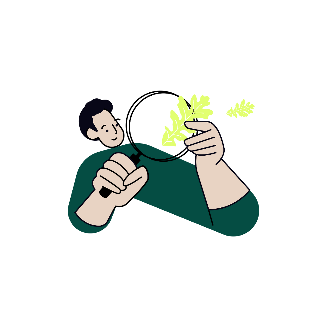 Forgarero Dinamiza Economia